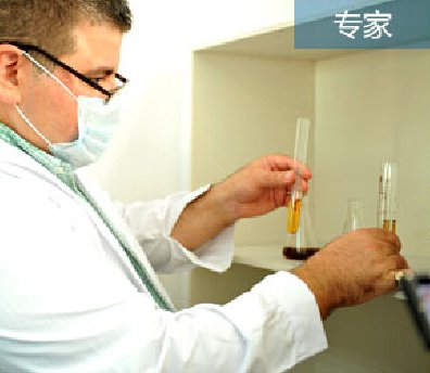解讀漢斯頓的自主研發(fā)情結